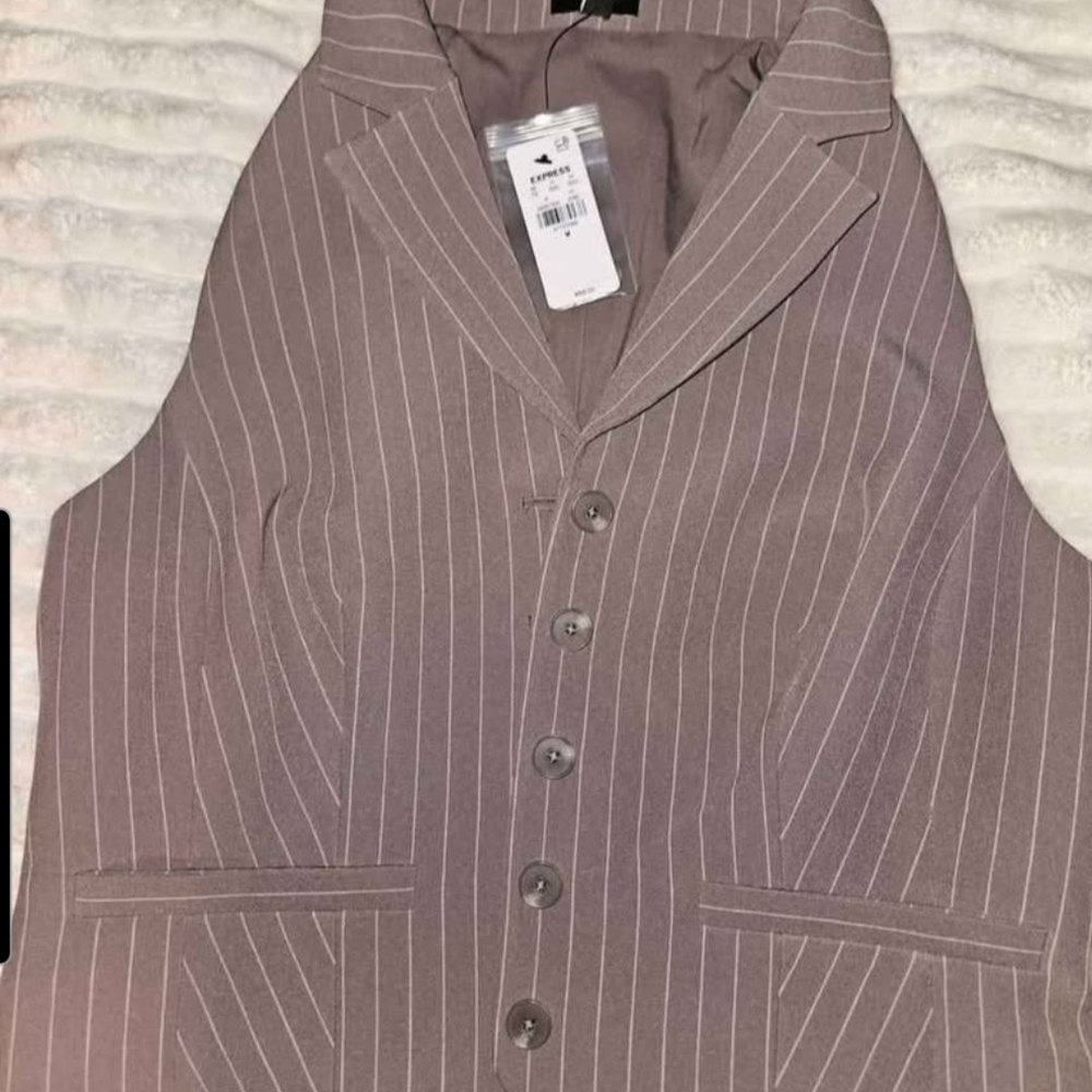 EXPRESS Pinstripe Button-Front Vest